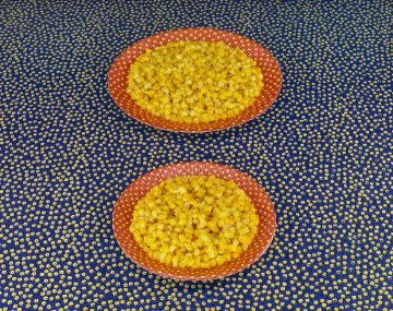 sandy_skoglund_5