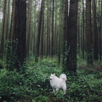 alex-strohl_03