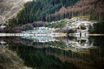 Richard Cwm Idwal