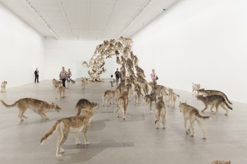 'Cai Guo-Qiang: Falling Back to Earth'Members Preview