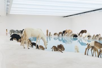 'Cai Guo-Qiang: Falling Back to Earth'Media Preview