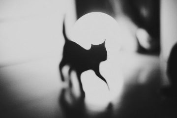 Silvia_Grav11