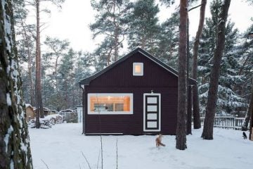 Waldhaus im Kiefernwald