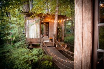 Peter_Bahouth_Treehouse_02