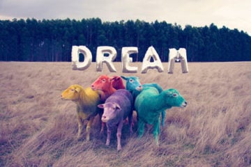 gray-malin-dream-series-rainbow-sheep-pre