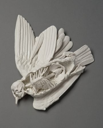 kate macdowell_03