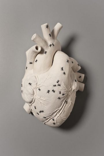 kate macdowell_07