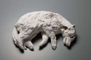 kate macdowell_10