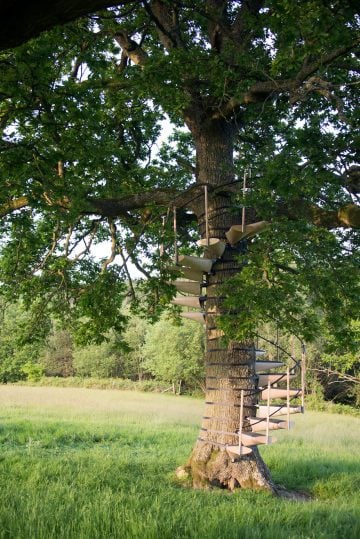 canopy_tree_stairs-thor_ter_kulve_robert_mcintyre_design_10