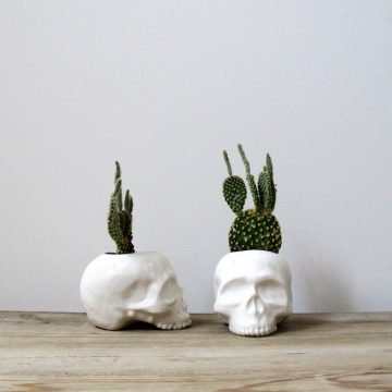 dailybasics_halloween-plantpotskull