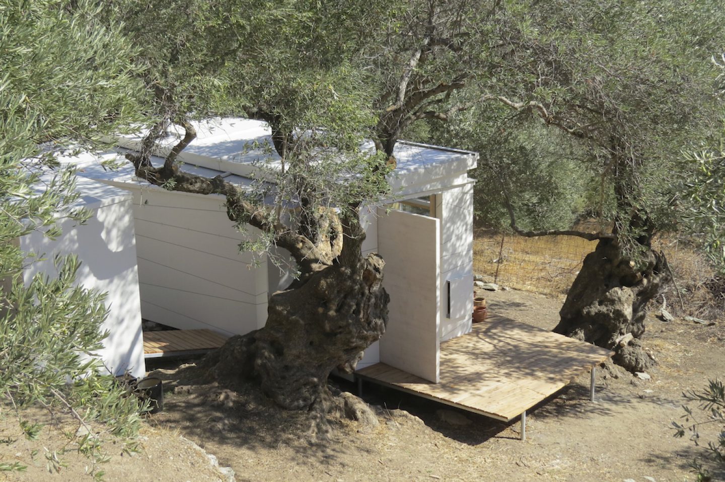 echoliving_ nestling amongst olive trees