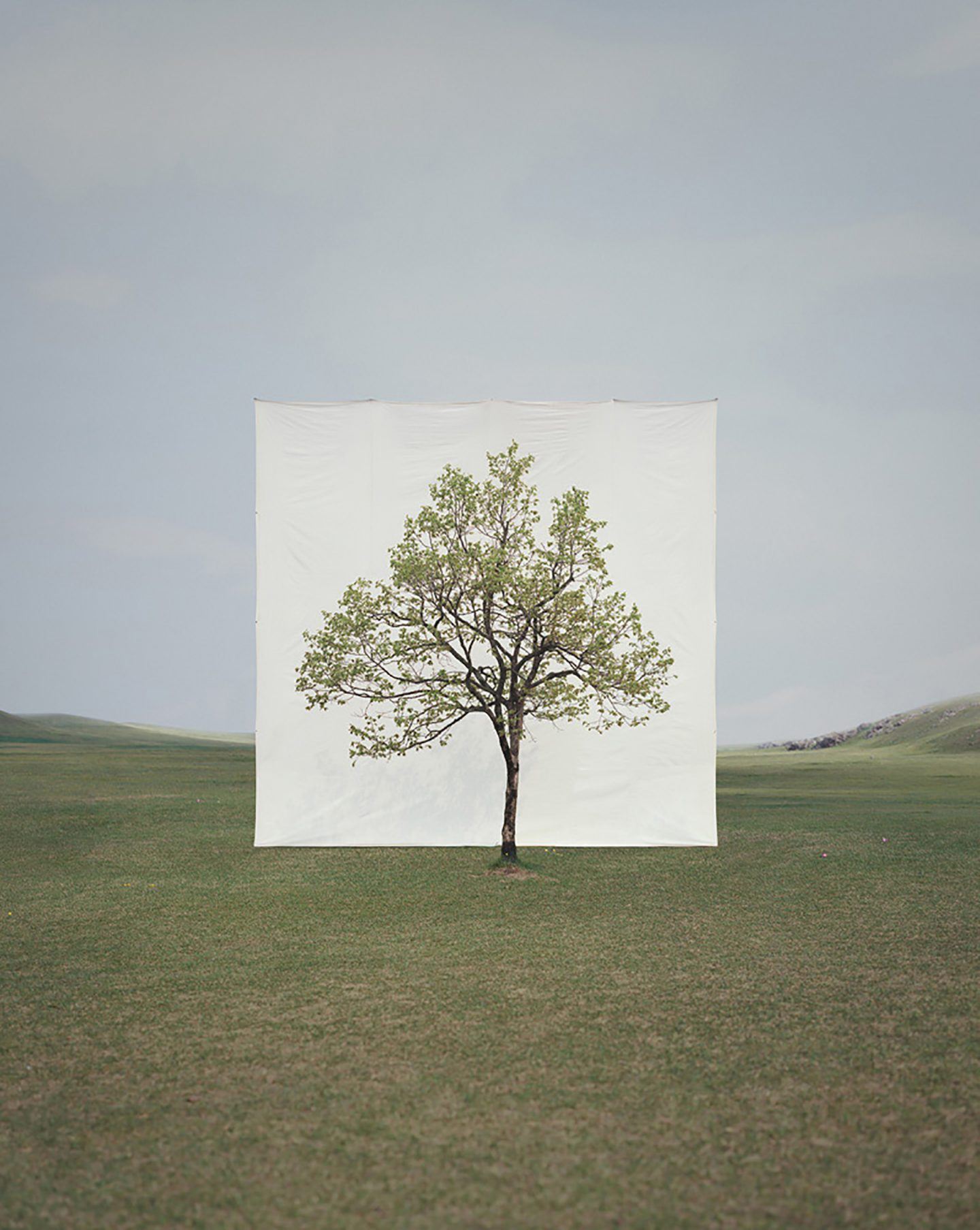 IGNANT-Art-Myoung-Ho-Lee-Tree-17