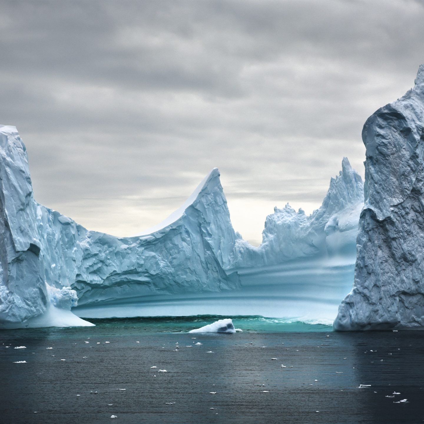 Antarctica #1