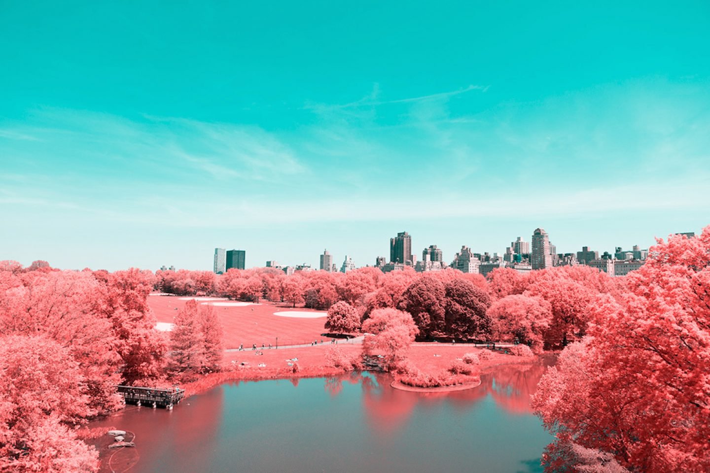 infrarednyc_photography_006