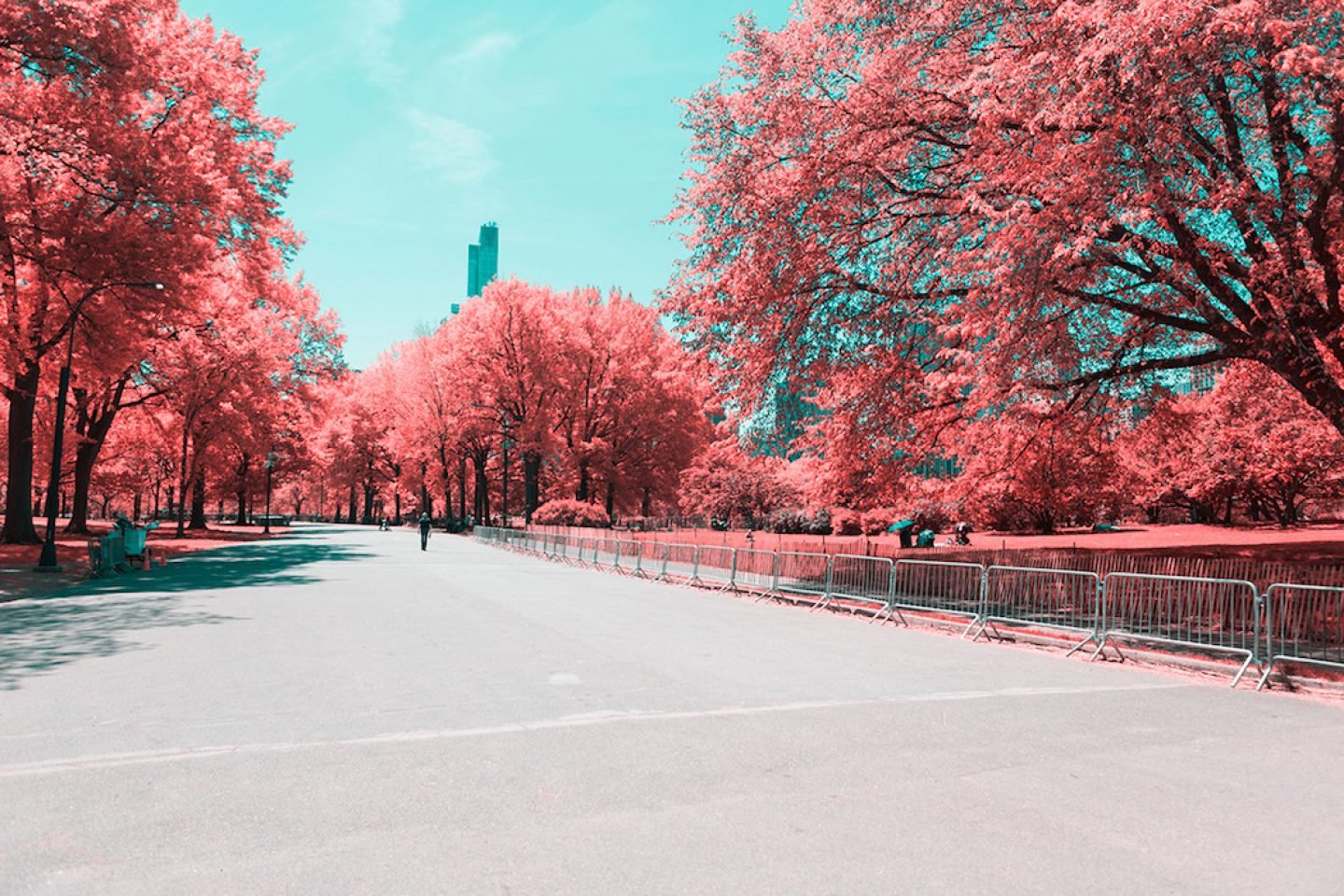 infrarednyc_photography_007