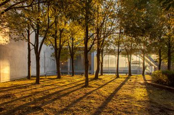 Architecture_Tadao_Anso_Setouchi_Aonagi_Hotel_08