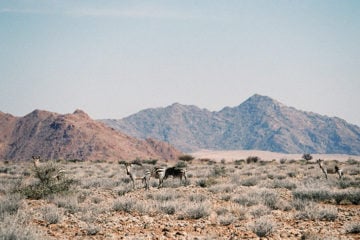 namibia-pre