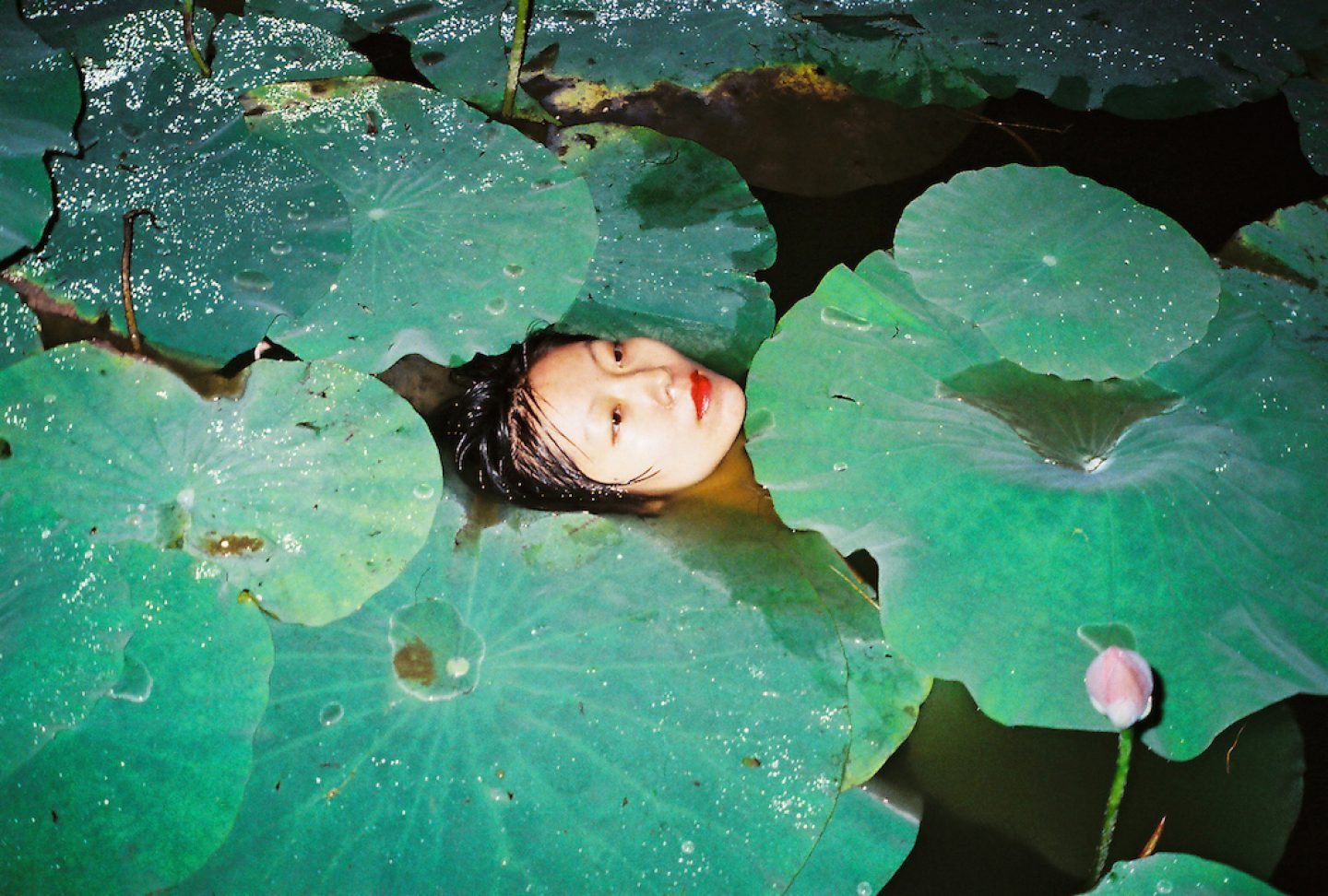 ren-hang_photo_015