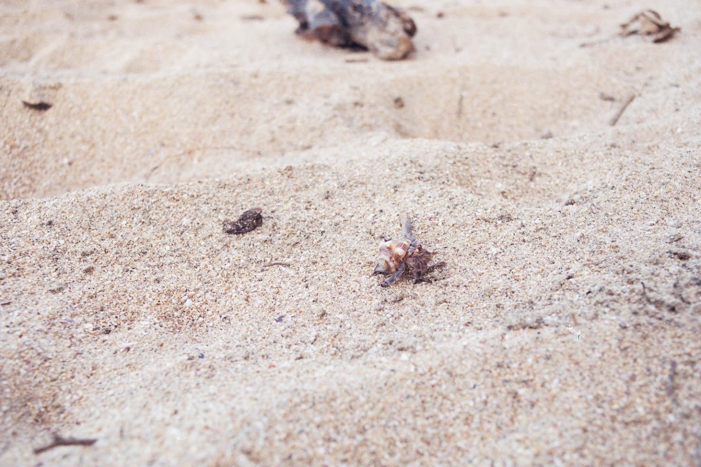 OnTheRoad_MexicoBeaches_AnaTopoleanu_03