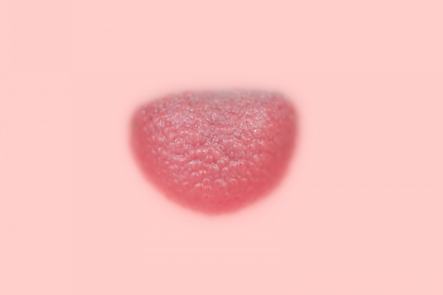 iGNANT_Photography_Prue_Stent_Honey_Long_Soft_Tissue_ (10 von 10)