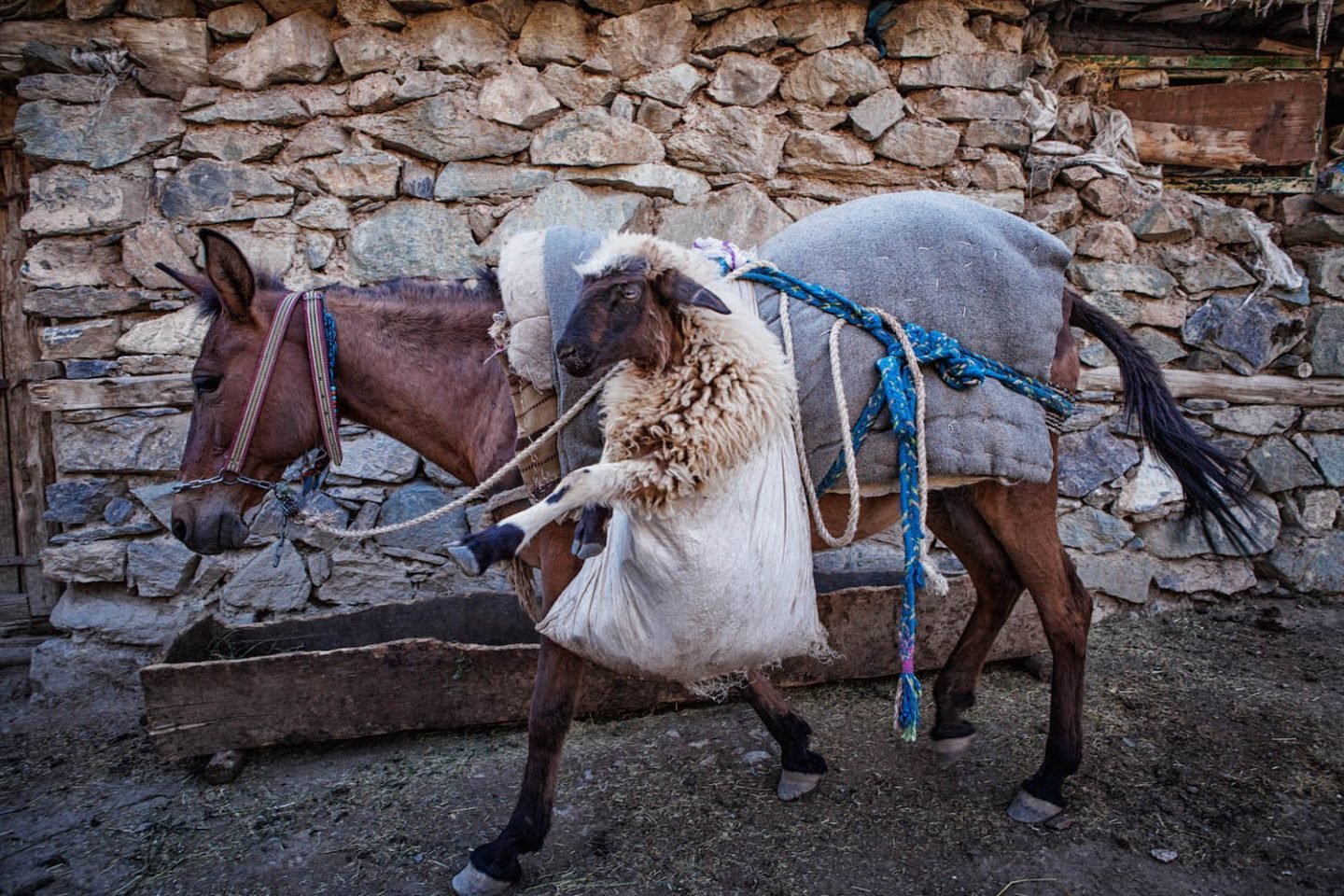 iGNANT_On_The_Road_Nadir_Bucan_Turkey_12