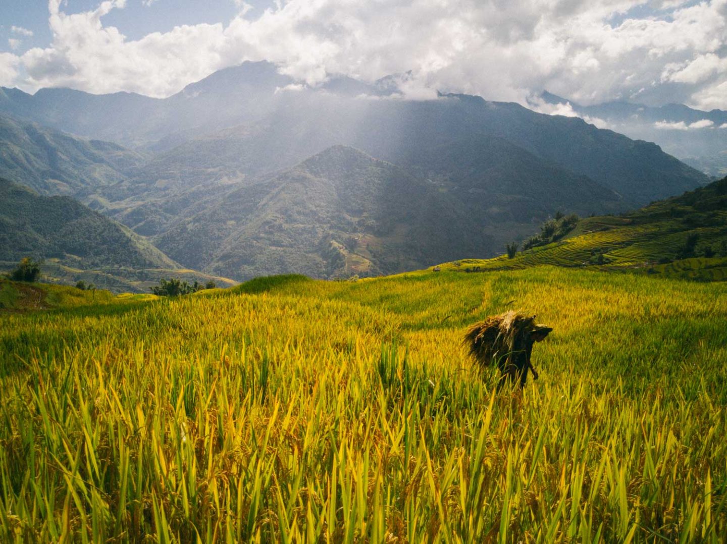 iGNANT_Huawei_24Hours_Vietnam-16