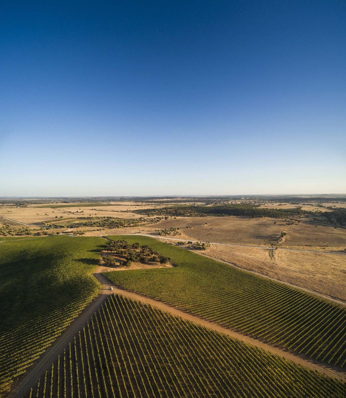 iGNANT_Architecture_Herdade_Of_Freixo_Winery_Frederico_Valsassina_Arquitectos_10