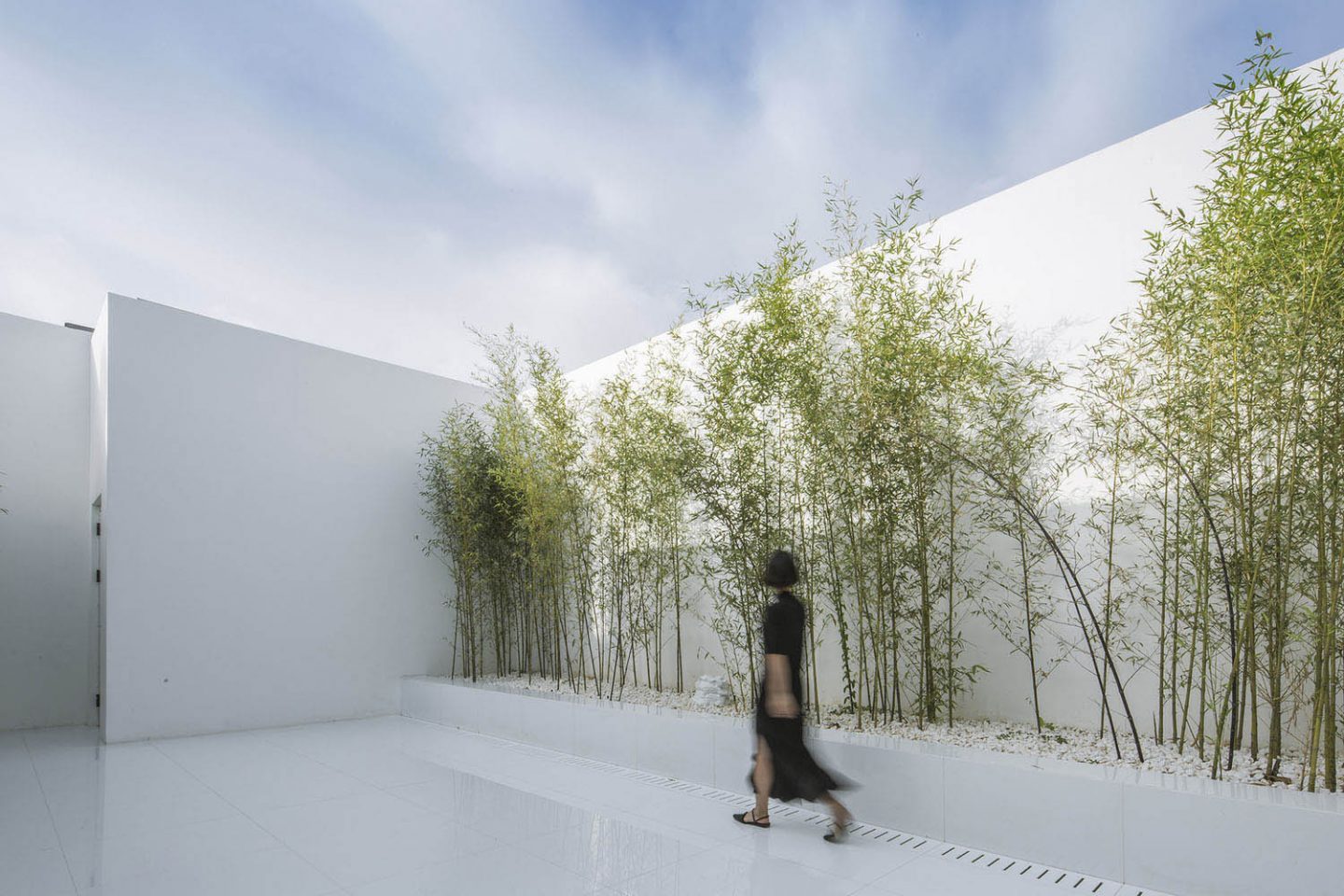 Architecture- V sudio-rooftopbamboogarden-03