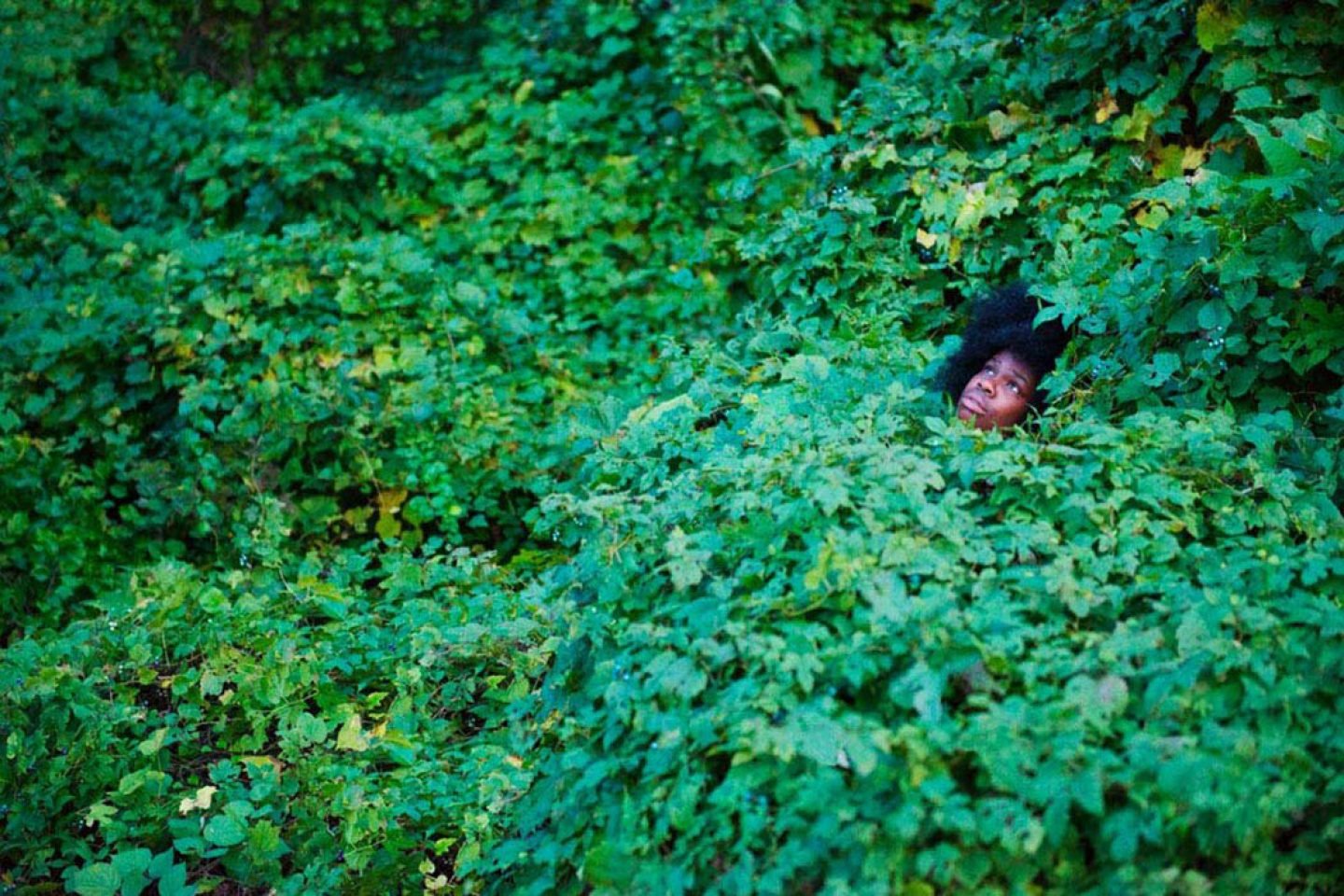 Photography-RyanMcGinley-WeTransfer-04