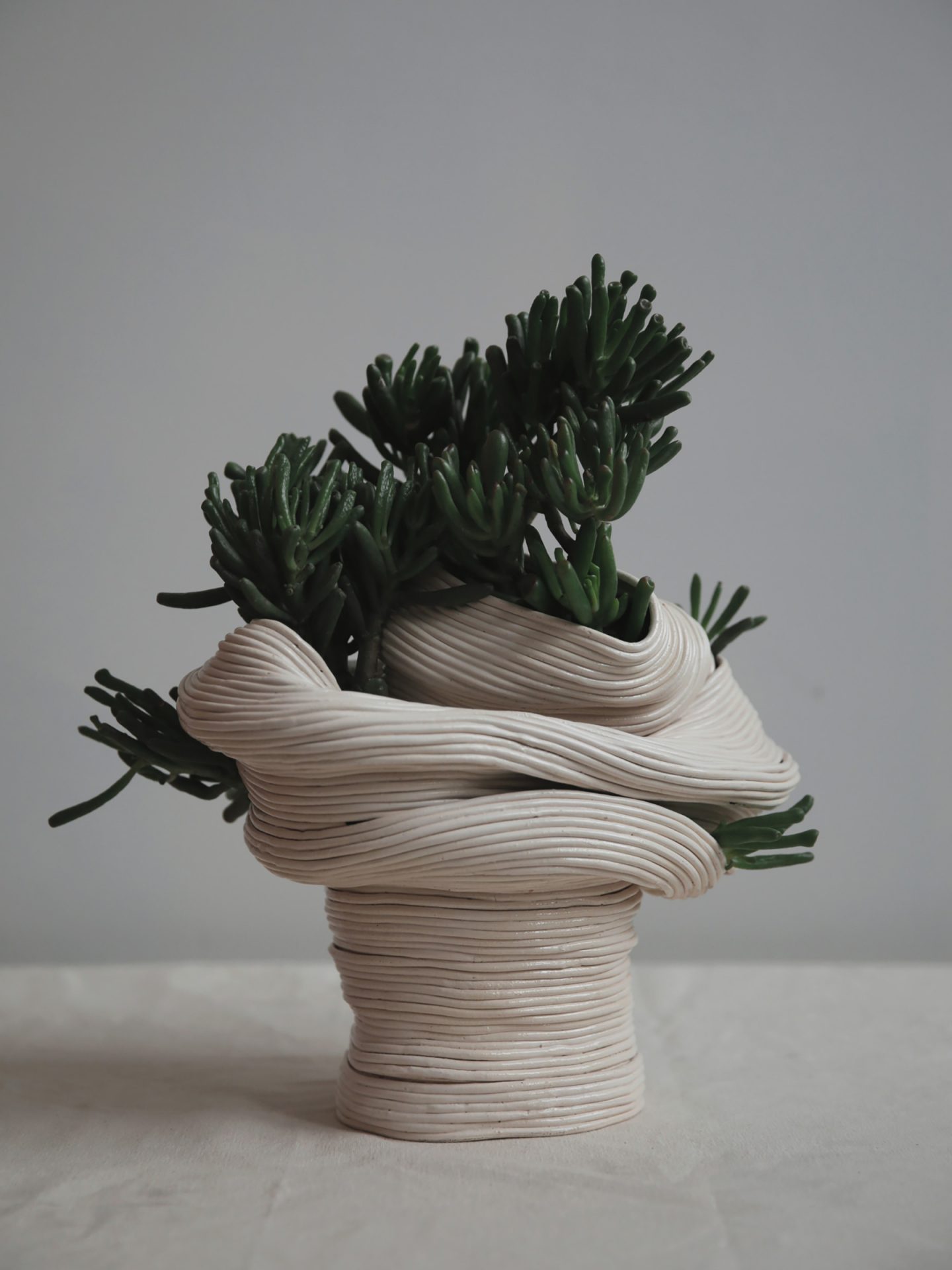 iGNANT-Design-Zhu-Ohmu-Plantsukuroi-01