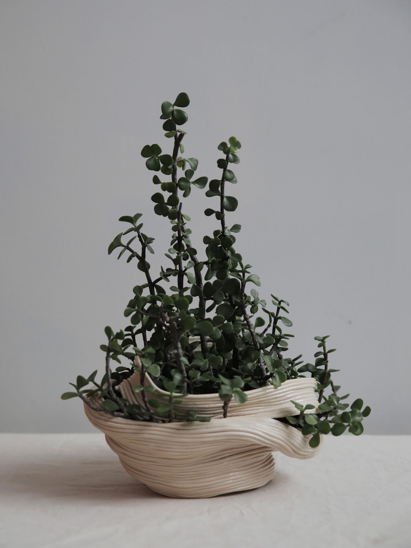 iGNANT-Design-Zhu-Ohmu-Plantsukuroi-03