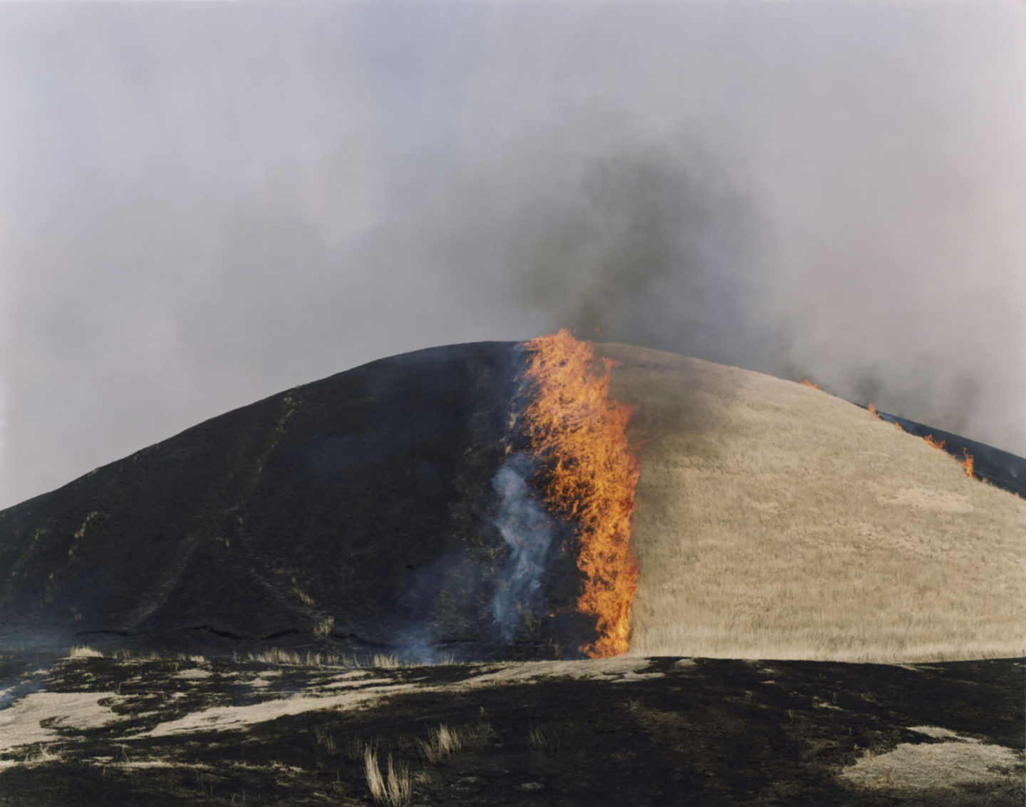 iGNANT-Photograophy-Rinko-Kawauchi-10