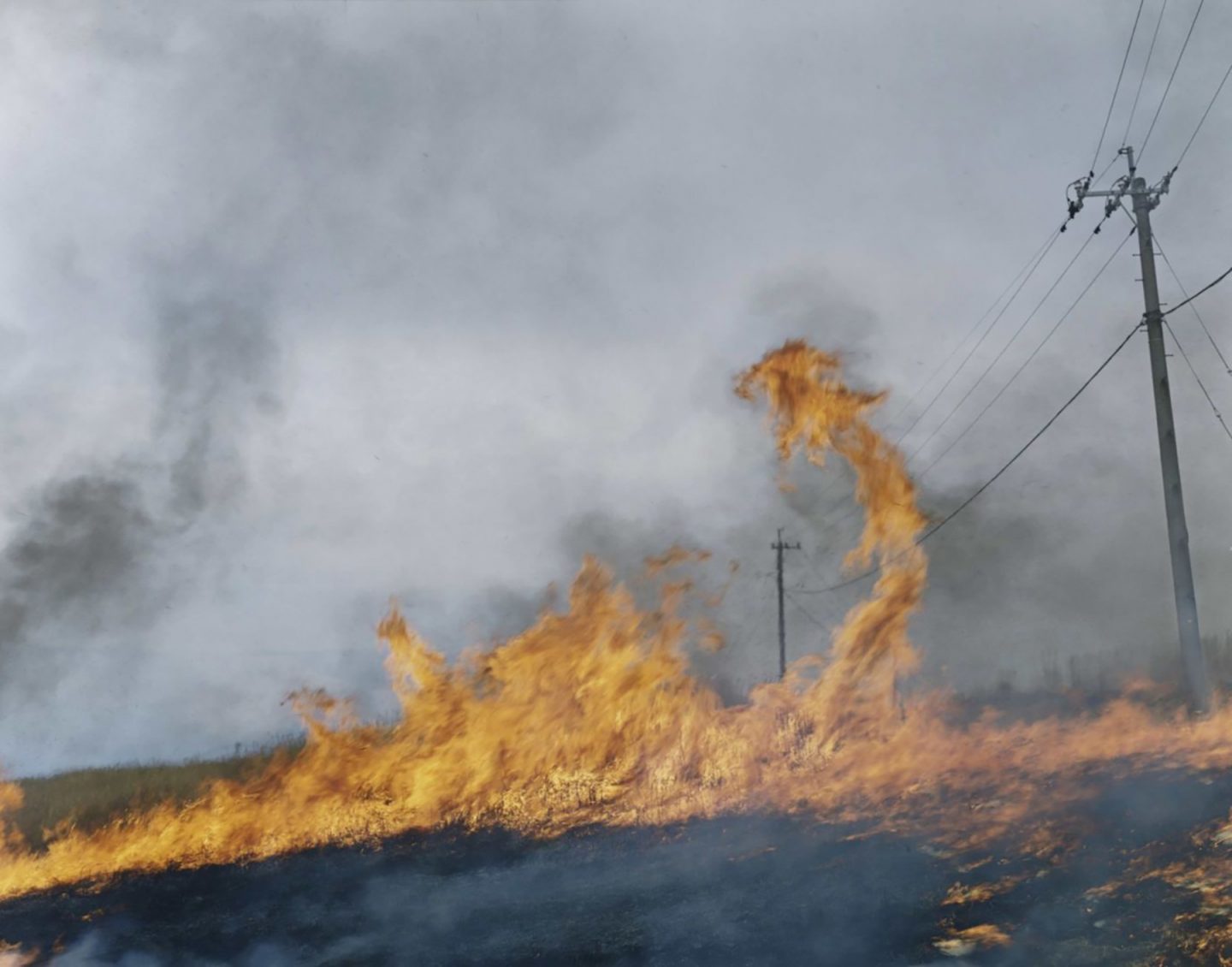 iGNANT-Photograophy-Rinko-Kawauchi-11