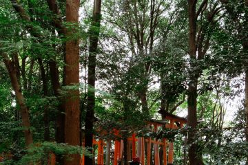 iGNANT-Photography-Will-Matsuda-Kyoto-003