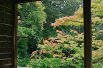 iGNANT-Photography-Will-Matsuda-Kyoto-016