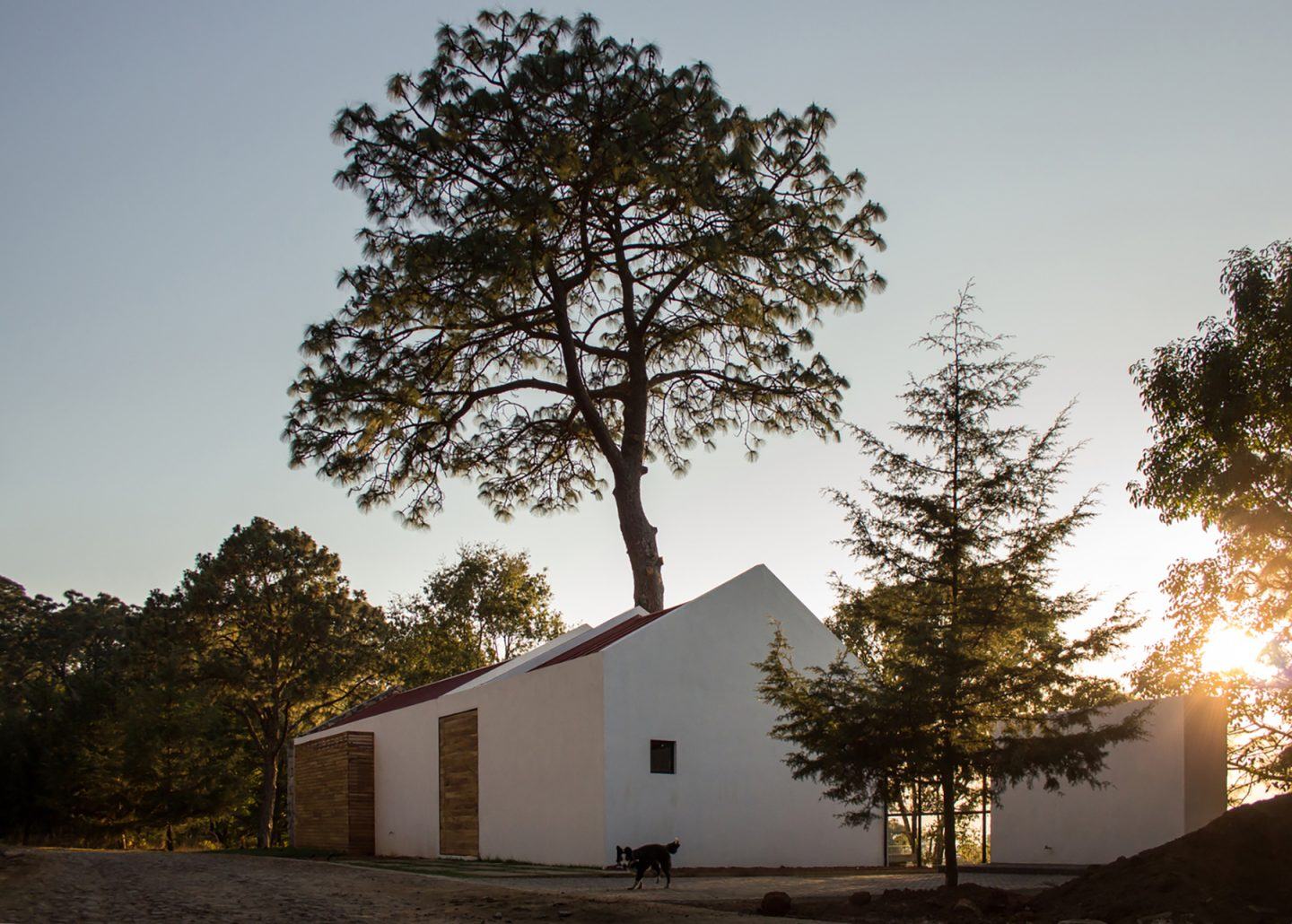 iGNANT-Architecture-EMA-House-Around-A-Pine-Tree-002