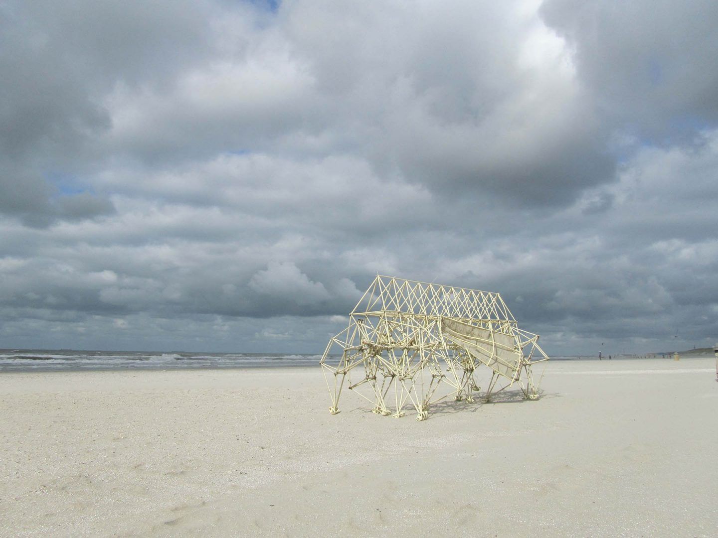 iGNANT-Art-Theo-Jansen-Strandbeests-001