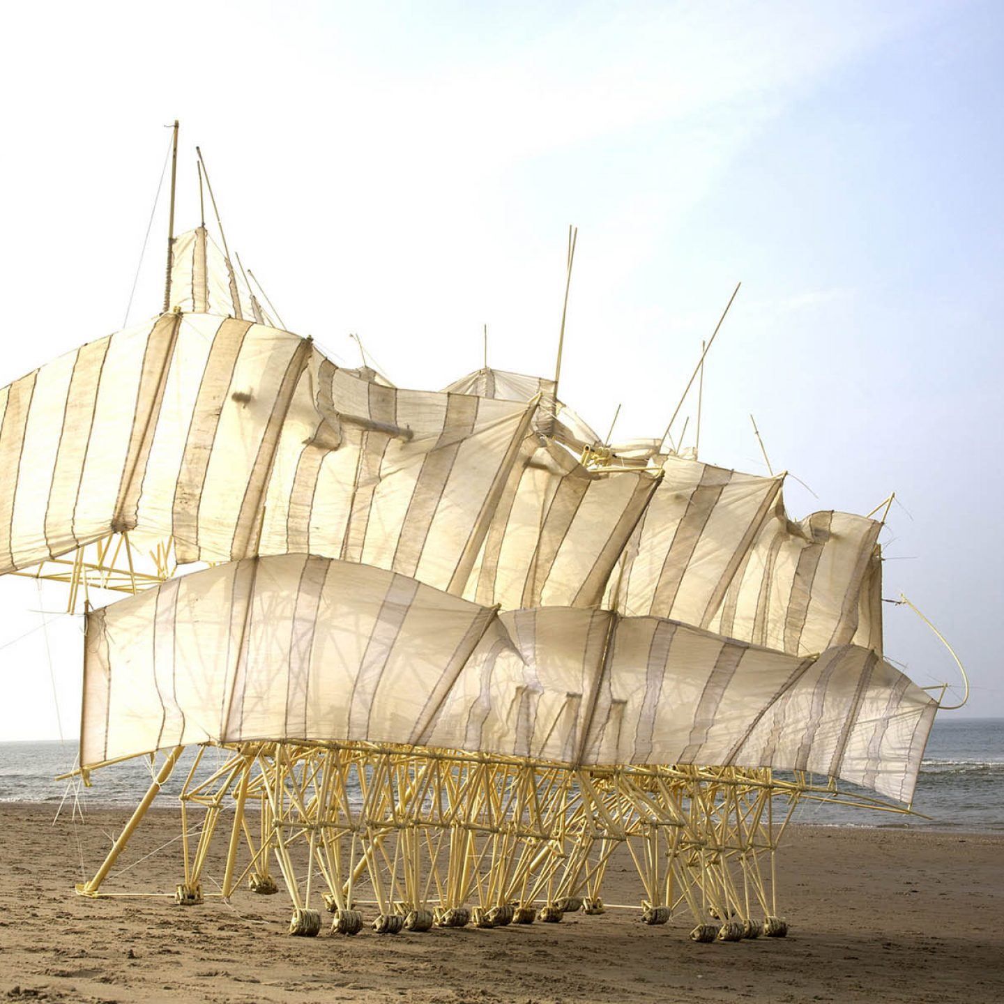 iGNANT-Art-Theo-Jansen-Strandbeests-003