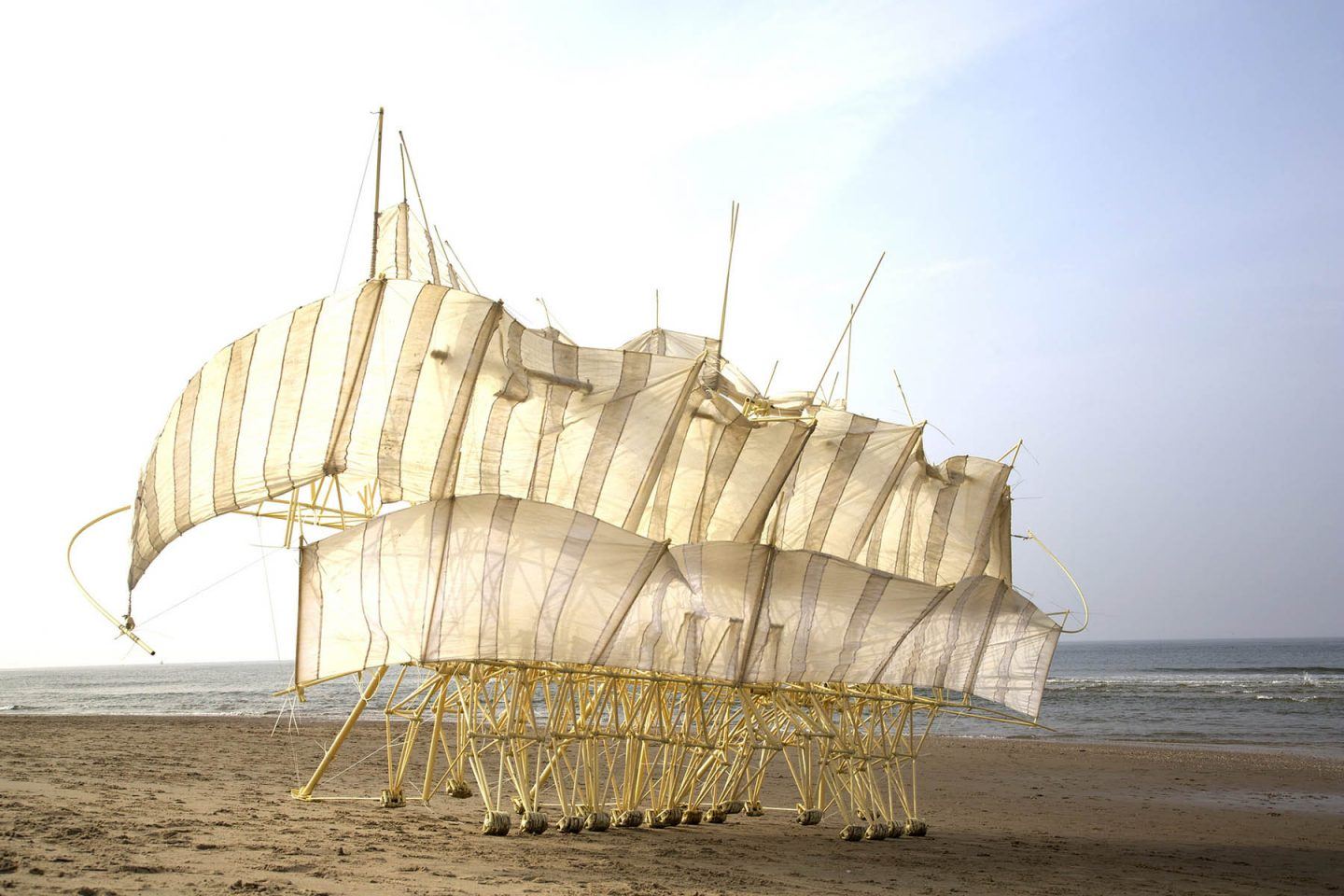 iGNANT-Art-Theo-Jansen-Strandbeests-003