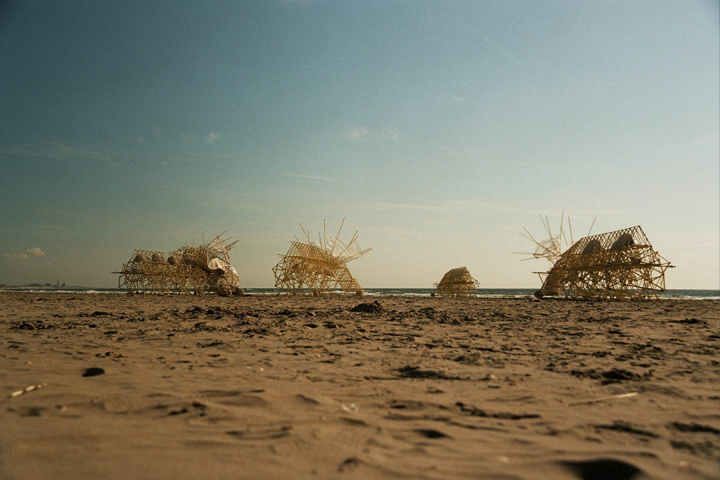 iGNANT-Art-Theo-Jansen-Strandbeests-004