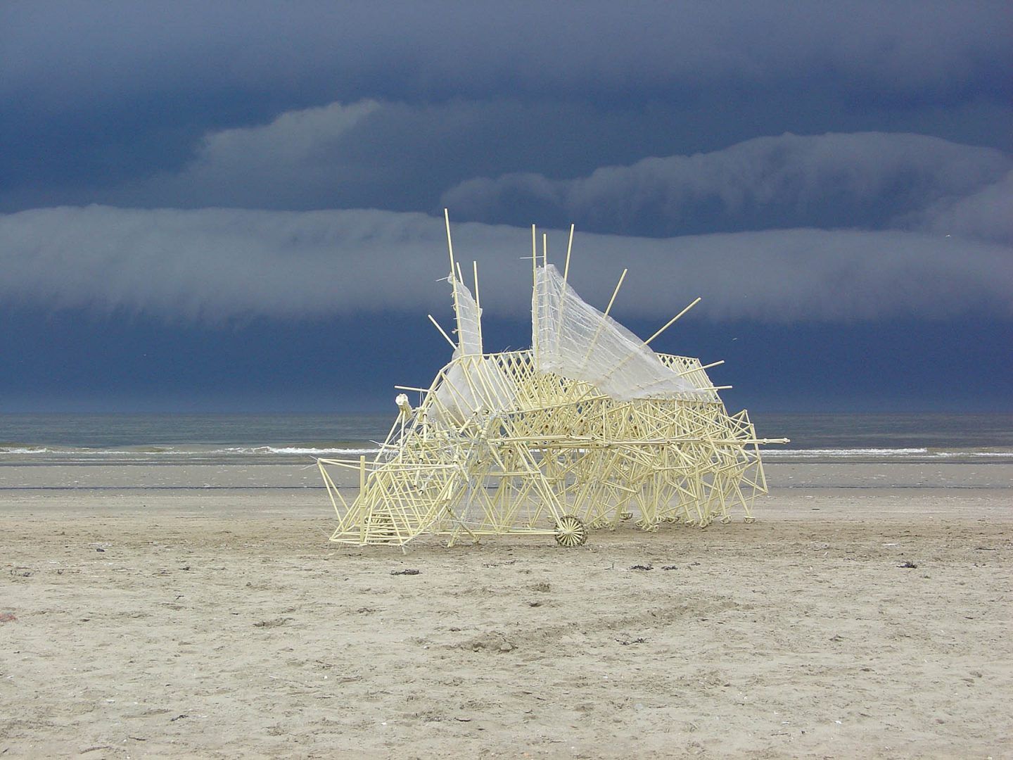 iGNANT-Art-Theo-Jansen-Strandbeests-006