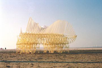 iGNANT-Art-Theo-Jansen-Strandbeests-007