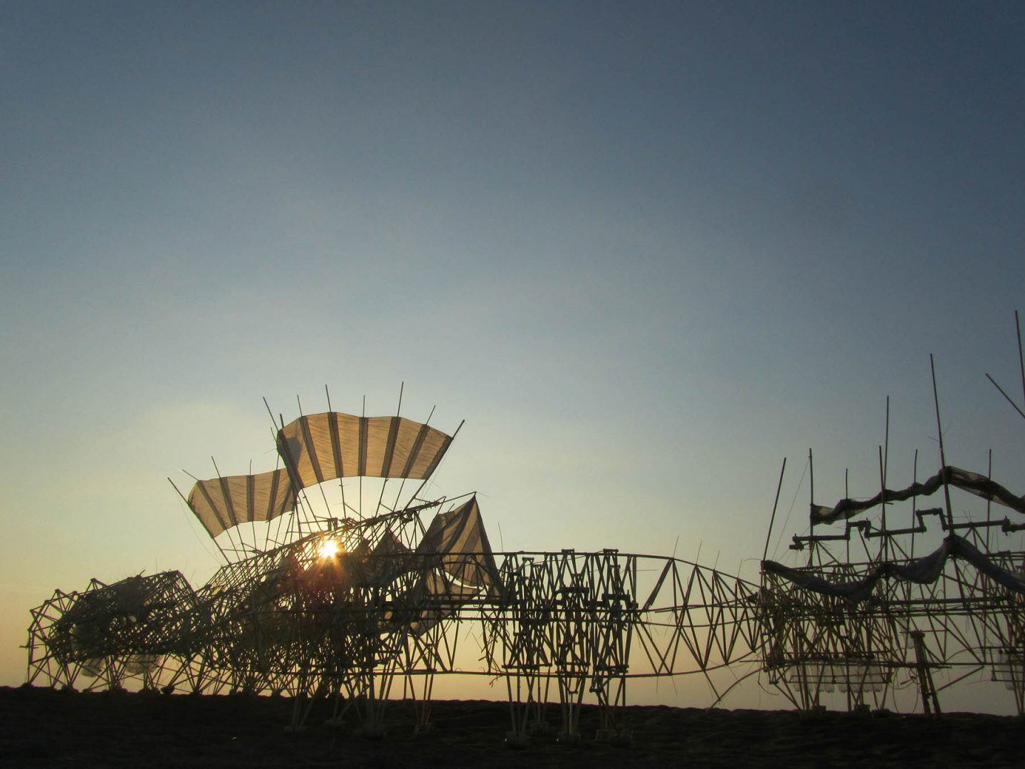 iGNANT-Art-Theo-Jansen-Strandbeests-009