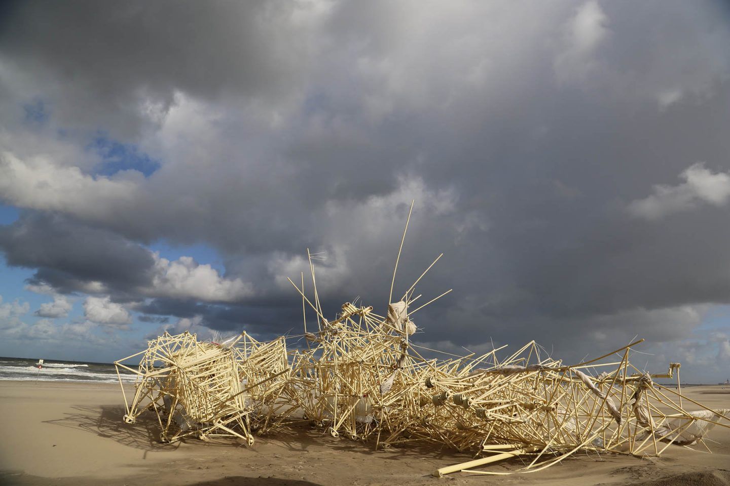 iGNANT-Art-Theo-Jansen-Strandbeests-010