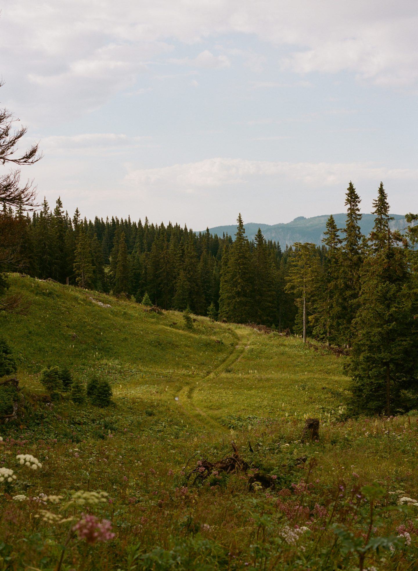 On-The-Road-Austria-Ignant-Daniel-Gebhart-031