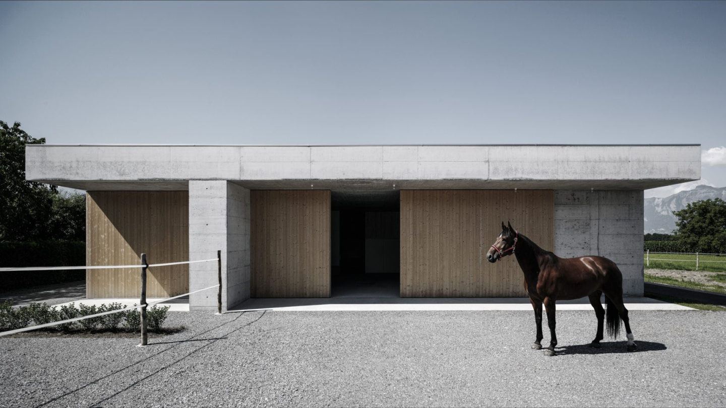 IGNANT-Architecture-Marte.Marte.-Architects-Veterinary-Clinic-11