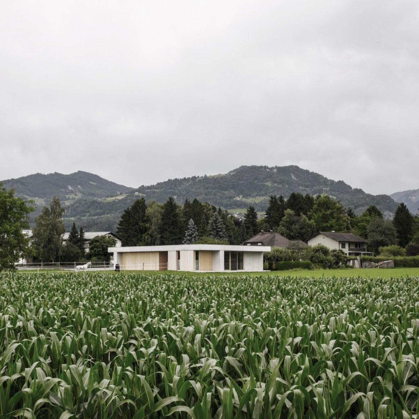 IGNANT-Architecture-Marte.Marte.-Architects-Veterinary-Clinic-12