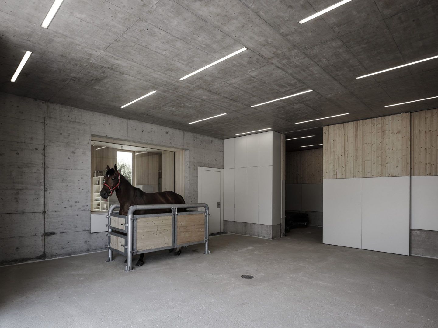 IGNANT-Architecture-Marte.Marte.-Architects-Veterinary-Clinic-7