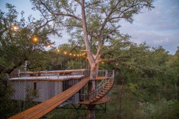 IGNANT-Architecture-Will-Beilharz-Yoki-Treehouse-3