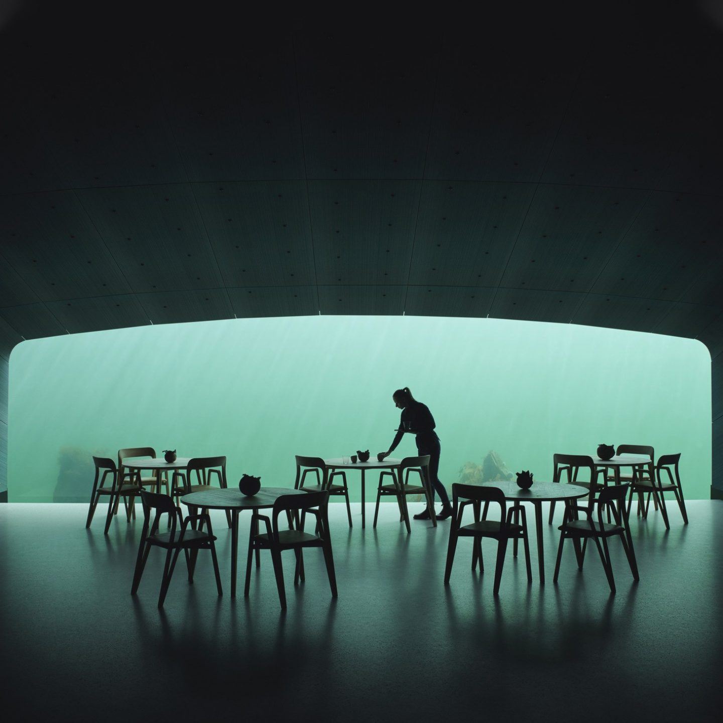 ignant-architecture-snohetta-under-restaurant-002